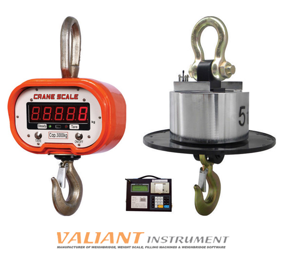 Reliable & Remote-Controlled Weighing Solution